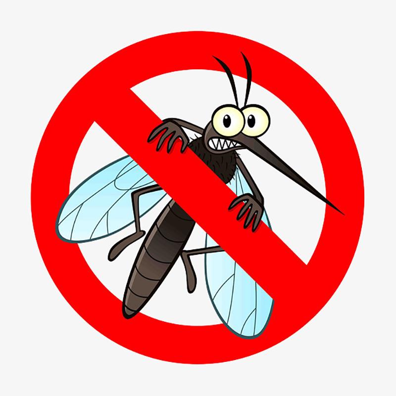 Каковы различные виды комаров?