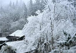 Ледяной мир! Зима в китайской провинции Хубэй.